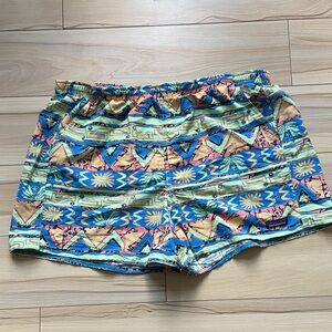 Colorful Patagonia Women's Shorts XL